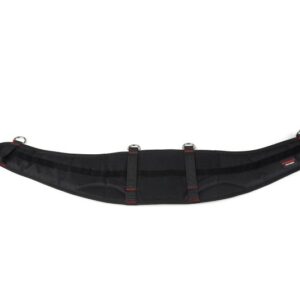Ergo-Motion Back Support
